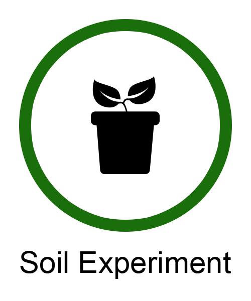 expermentIcon